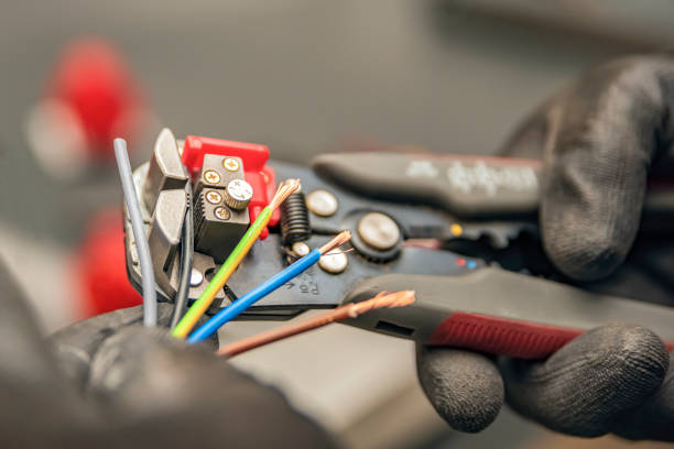 Best Electrical Repair Services  in Hoschton, GA