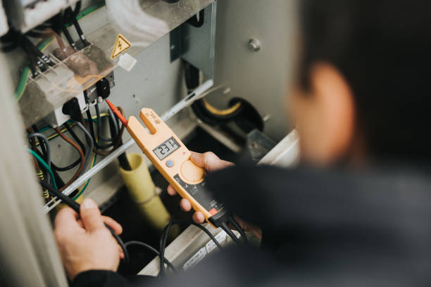 Best Ceiling Fan Installation Electrician  in Hoschton, GA